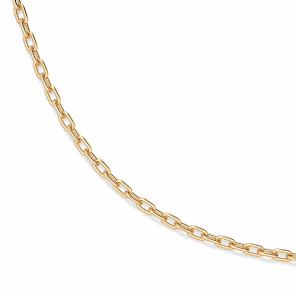 Isabella Paperclip Chain 18K Gold Necklace | Bellamare Jewelry